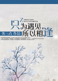 只为遇见，所以相逢