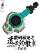 《数码暴龙之遗失的徽章》