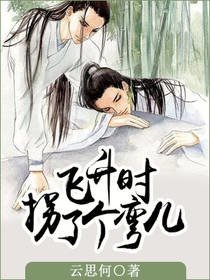 飞升时拐了个弯儿