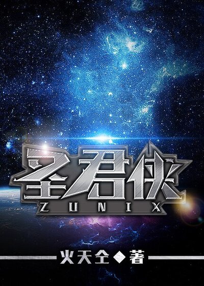 圣君侠