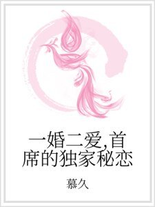 一婚二爱，首席的独家秘恋