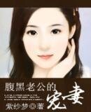 腹黑老公的寵妻