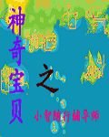 （寵物小精靈同人）小智隨行輔導師