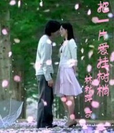 把一片愛掛在樹梢