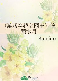 《(遊戲穿越之網王)璃鏡水月》