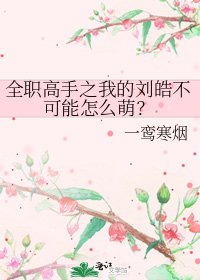 全职高手之我的刘皓不可能怎么萌？