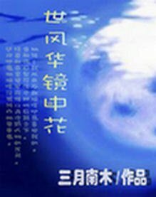 一世风华镜中花