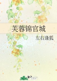 《芙蓉錦官城》