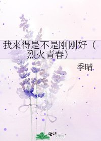 我来得是不是刚刚好（烈火青春）