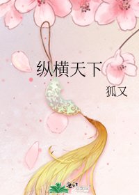 《纵横天下》