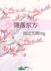 《翎落东方》